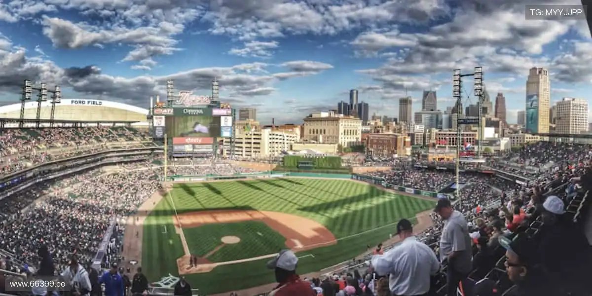 实时直播,身临其境!🎥